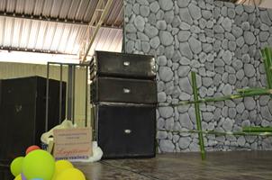 Plantas: imagem 7 de 15